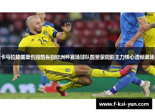 卡马拉膝盖重伤提前告别欧洲杯赛场球队前景蒙阴影主力核心遗憾退场