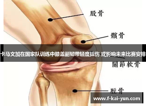 卡马文加在国家队训练中膝盖副韧带轻度扭伤 或影响未来比赛安排 卡马文加在国家队训练中膝盖副韧带轻度扭伤 或影响未来比赛安排